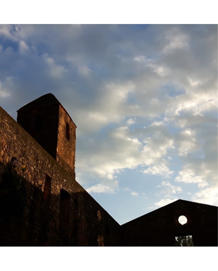 I gioielli della Badia di Pattano