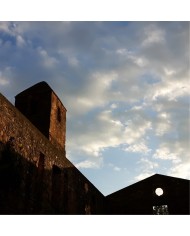 I gioielli della Badia di Pattano